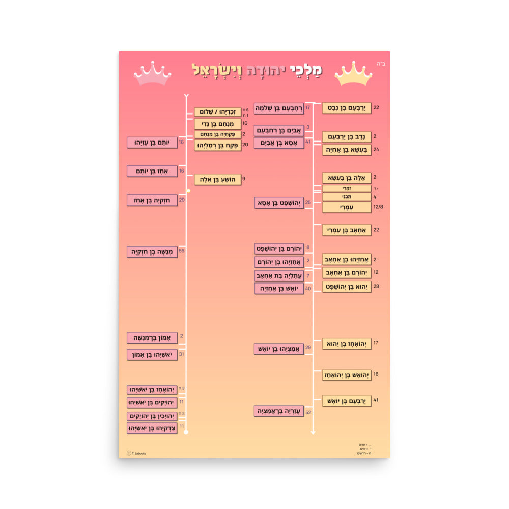 Melachim Beis Kings Poster - Pink